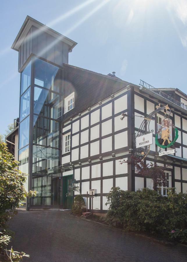 Boutique-Hotel Weigels Bergfreiheit Winterberg Esterno foto